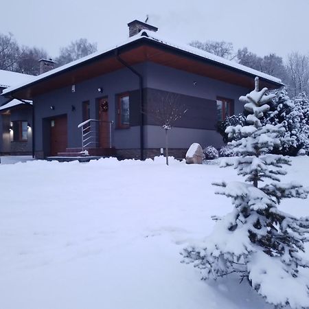 Domek Nad Zalewem Janów Podlaski Exteriör bild